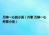 万钟一心的小说（兴家 万钟一心所著小说）