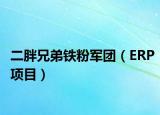 二胖兄弟铁粉军团（ERP项目）