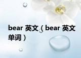 bear 英文（bear 英文单词）