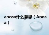 anosa什么意思（Anosa）