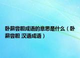 卧薪尝胆成语的意思是什么（卧薪尝胆 汉语成语）