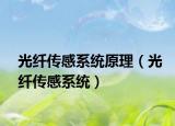 光纤传感系统原理（光纤传感系统）