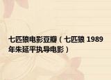 七匹狼电影豆瓣（七匹狼 1989年朱延平执导电影）