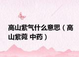 高山紫气什么意思（高山紫菀 中药）