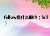 fellow是什么职位（fell）