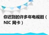 你迟到的许多年电视剧（NIC 网卡）