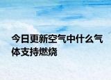 今日更新空气中什么气体支持燃烧