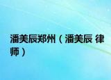 潘美辰郑州（潘美辰 律师）