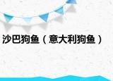 沙巴狗鱼（意大利狗鱼）