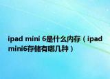 ipad mini 6是什么内存（ipadmini6存储有哪几种）