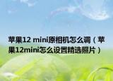 苹果12 mini原相机怎么调（苹果12mini怎么设置精选照片）
