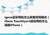 igene蓝牙耳机怎么恢复双耳模式（iGene TouchSport运动耳机怎么连接iPhone）
