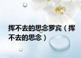 挥不去的思念罗宾（挥不去的思念）