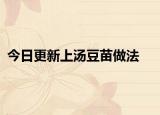 今日更新上汤豆苗做法