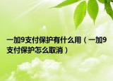 一加9支付保护有什么用（一加9支付保护怎么取消）