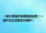 一加9r受保护应用如何设置（一加9r怎么设置支付保护）