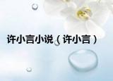 许小言小说（许小言）