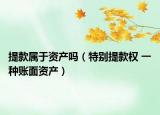 提款属于资产吗（特别提款权 一种账面资产）