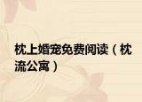 枕上婚宠免费阅读（枕流公寓）