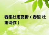 春望杜甫赏析（春望 杜甫诗作）