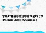 苹果12的屏幕分辨率是2k的吗（苹果12屏幕分辨率是2k屏幕吗）