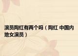 演员陶红有两个吗（陶红 中国内地女演员）