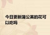 今日更新蒲公英的花可以吃吗