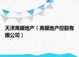 天津高银地产（高银地产控股有限公司）