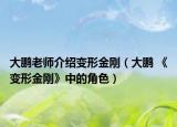 大鹏老师介绍变形金刚（大鹏 《变形金刚》中的角色）