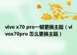 vivo x70 pro一键更换主题（vivox70pro 怎么更换主题）