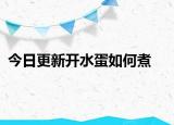 今日更新开水蛋如何煮