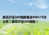 嘉实沪深300指数基金000176怎么样（嘉实沪深300指数）