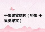 干果果实结构（坚果 干果类果实）
