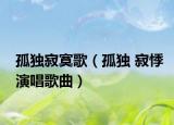 孤独寂寞歌（孤独 寂悸演唱歌曲）
