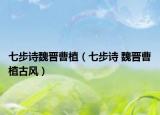 七步诗魏晋曹植（七步诗 魏晋曹植古风）