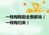 一枝梅韩剧全集解说（一枝梅归来）