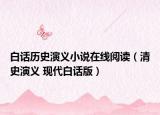 白话历史演义小说在线阅读（清史演义 现代白话版）