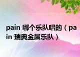 pain 哪个乐队唱的（pain 瑞典金属乐队）