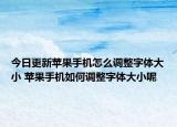 今日更新苹果手机怎么调整字体大小 苹果手机如何调整字体大小呢