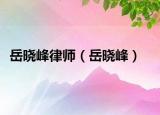 岳晓峰律师（岳晓峰）