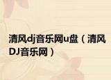 清风dj音乐网u盘（清风DJ音乐网）