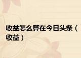 收益怎么算在今日头条（收益）