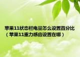 苹果11状态栏电量怎么设置百分比（苹果11重力感应设置在哪）