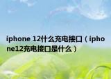 iphone 12什么充电接口（iphone12充电接口是什么）