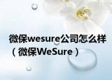 微保wesure公司怎么样（微保WeSure）