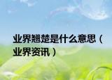 业界翘楚是什么意思（业界资讯）