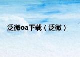 泛微oa下载（泛微）