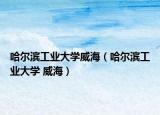 哈尔滨工业大学威海（哈尔滨工业大学 威海）