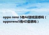 oppo reno 5有4d游戏震感吗（opporeno5有4D震感吗）