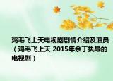 鸡毛飞上天电视剧剧情介绍及演员（鸡毛飞上天 2015年余丁执导的电视剧）